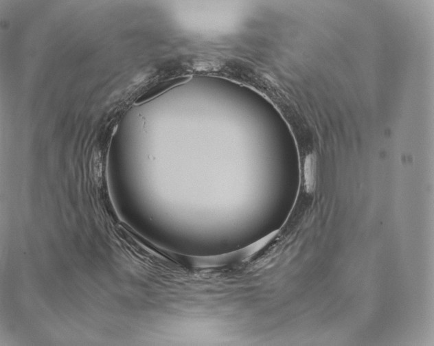 X0000088661443200706081651