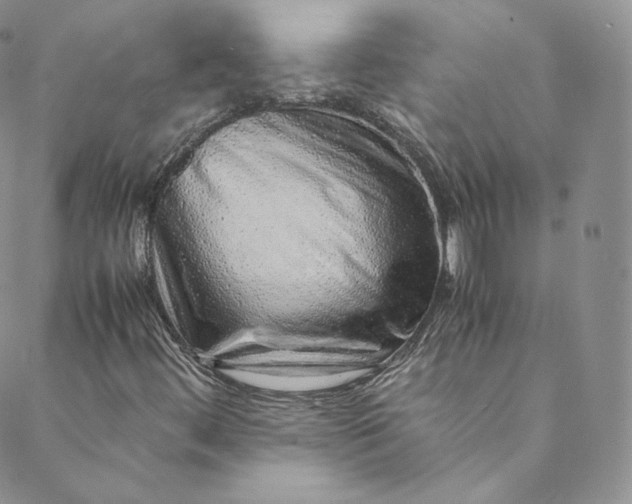 X0000088661444200706081651