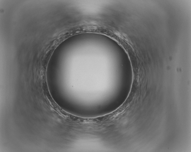 X0000088661445200706081651