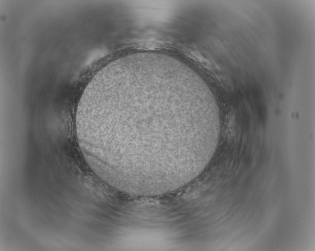 X0000088661446200706081651