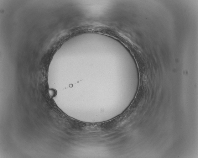 X0000088661447200706081651