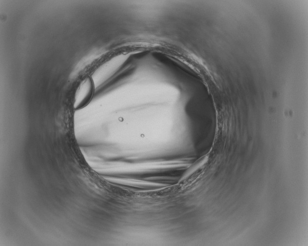 X0000088661448200706081651