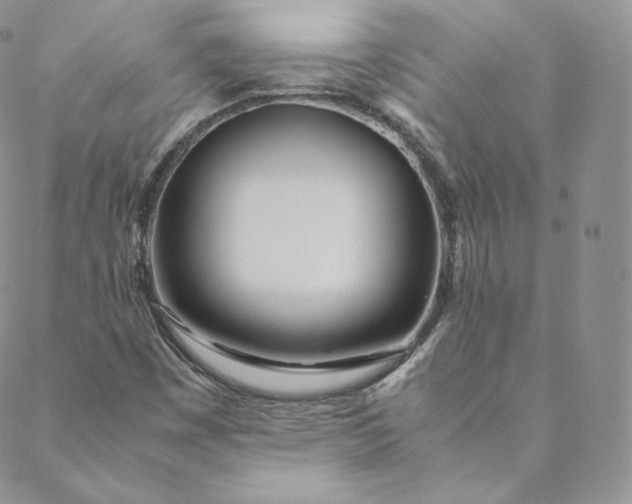 X0000088661449200706081651