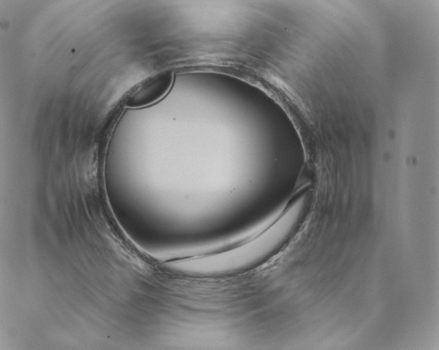 X0000088661450200706081651