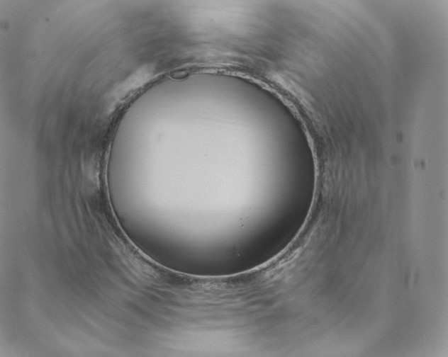 X0000088661451200706081651