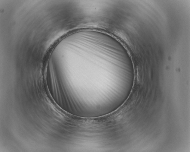 X0000088661452200706081650