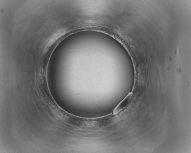 X0000088661453200706081650