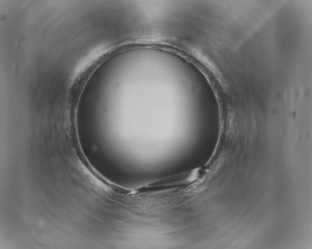 X0000088661456200706081650