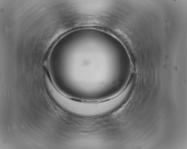 X0000088661457200706081650