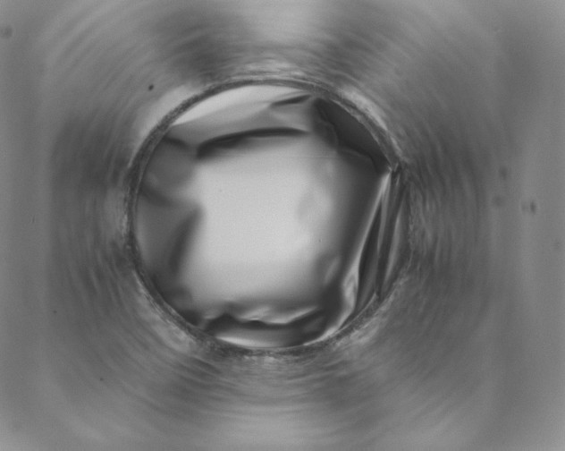 X0000088661458200706081650