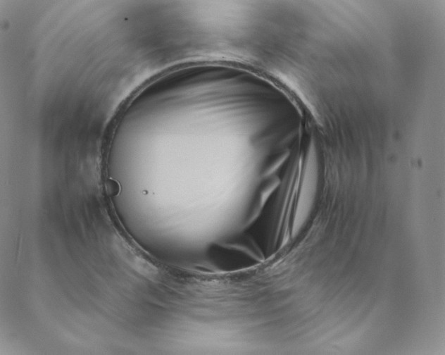 X0000088661460200706081650