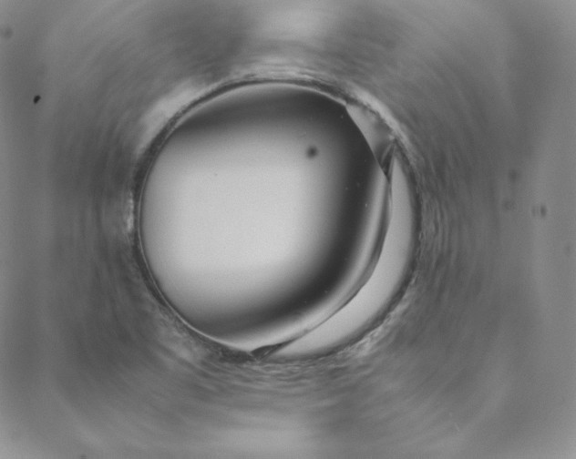 X0000088661461200706081650