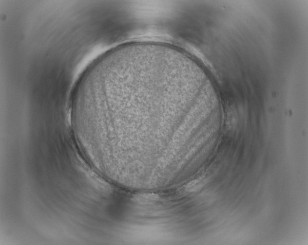 X0000088661462200706081650