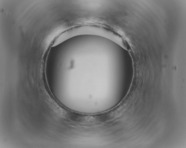 X0000088661463200706081650