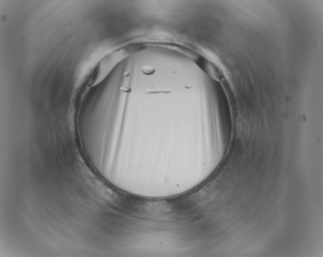 X0000088661464200706081650