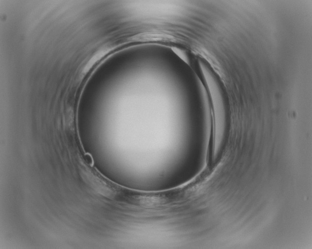 X0000088661465200706081650