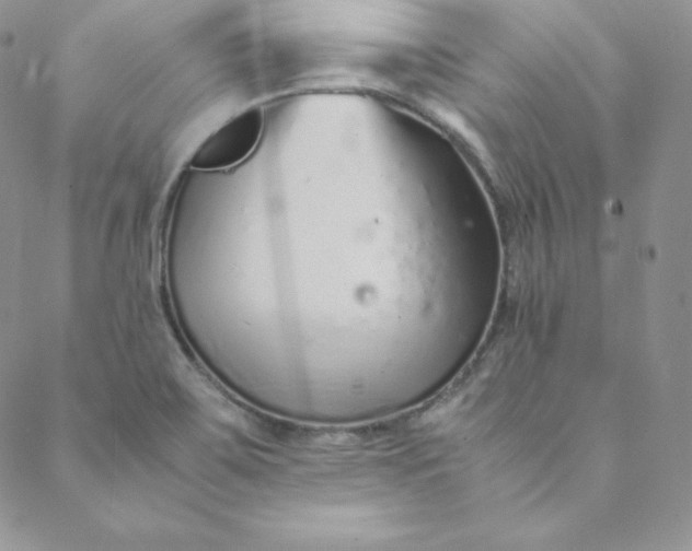 X0000088661467200706081650