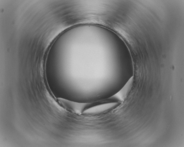 X0000088661468200706081650