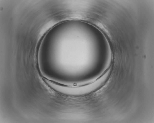 X0000088661469200706081650