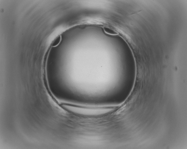 X0000088661471200706081650