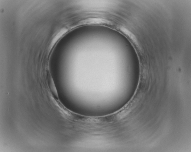 X0000088661473200706081650