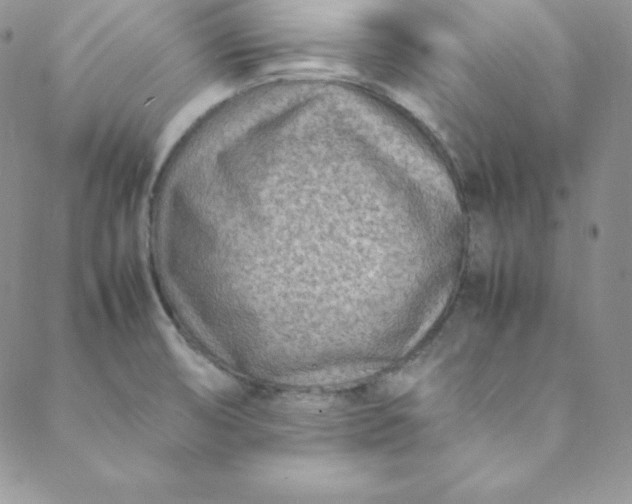 X0000088661474200706081650