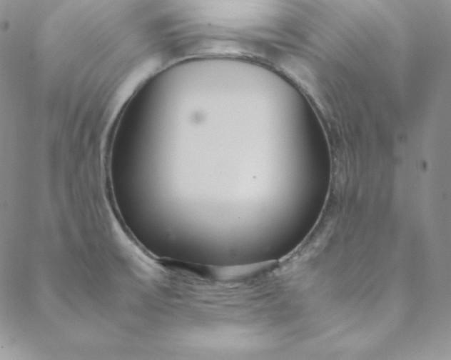 X0000088661475200706081650