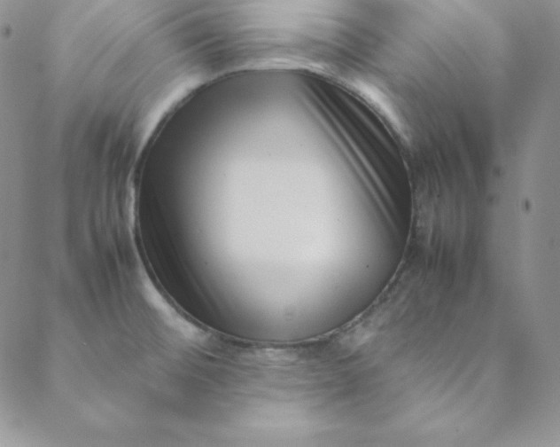 X0000088661476200706081650