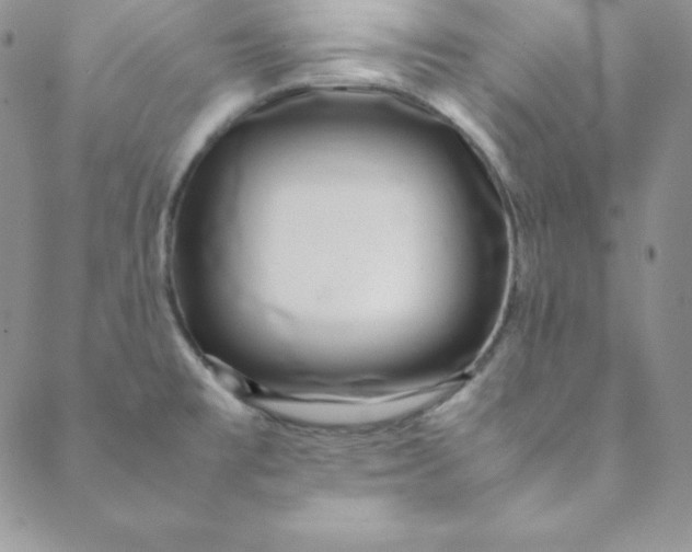 X0000088661477200706081650