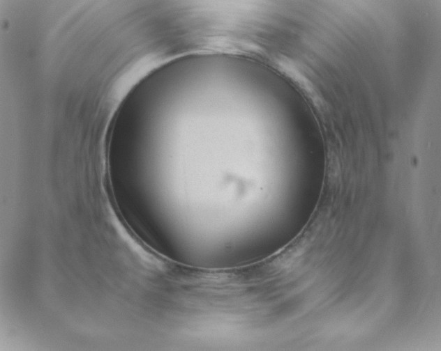 X0000088661479200706081650