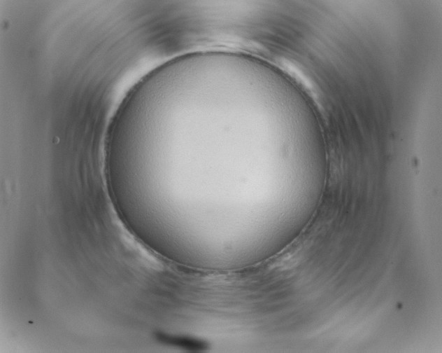 X0000088661480200706081650