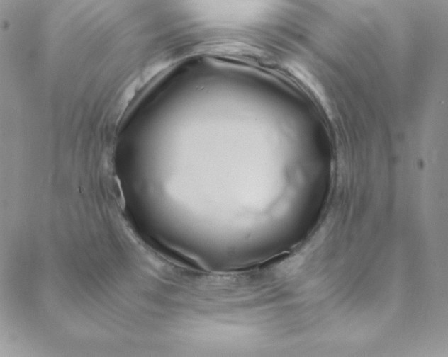 X0000088661481200706081650