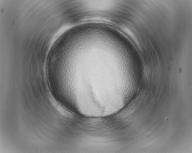 X0000088661482200706081650