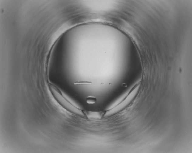 X0000088661483200706081650