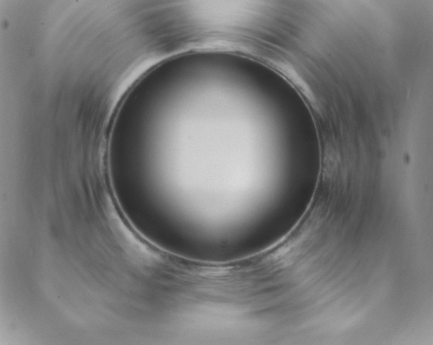 X0000088661484200706081650