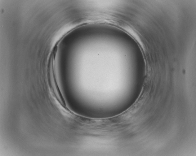 X0000088661485200706081650