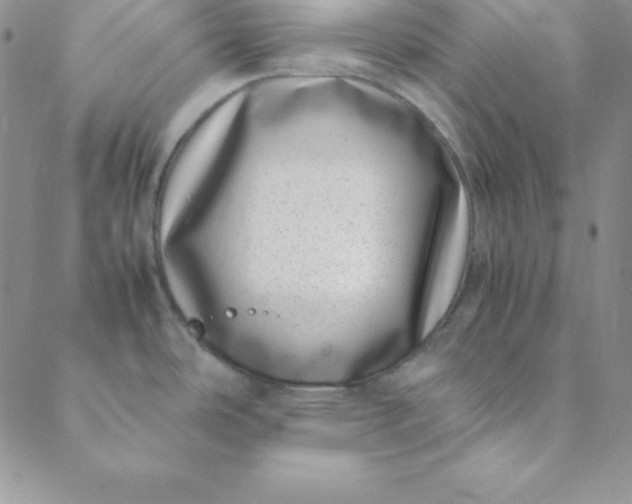 X0000088661486200706081650