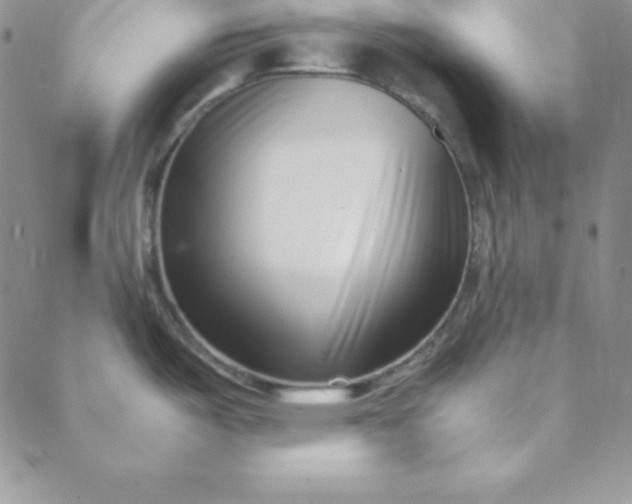 X0000088661487200706081650