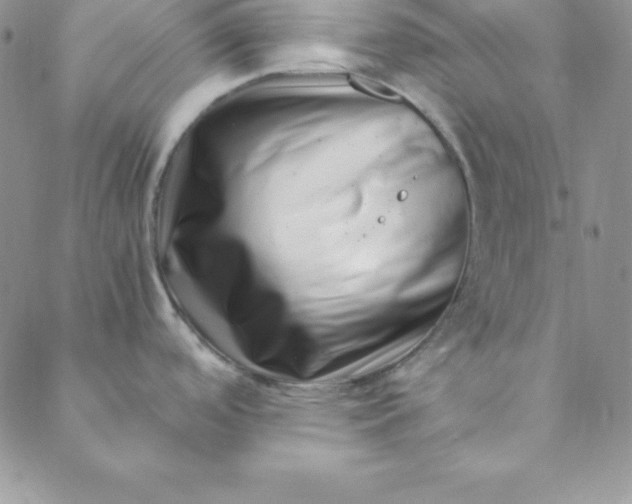 X0000088661488200706081650