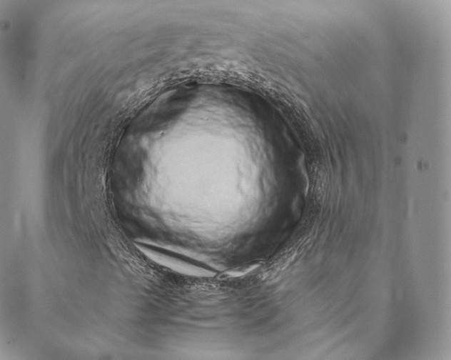 X0000088661489200706081649