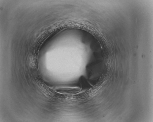 X0000088661490200706081649