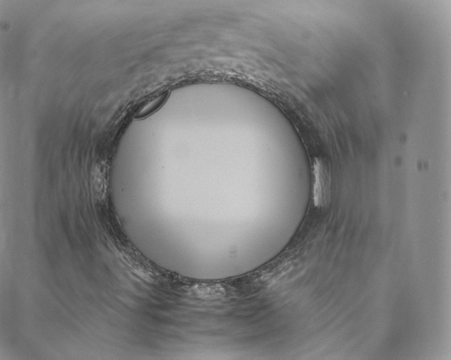 X0000088661491200706081649