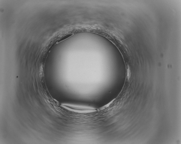 X0000088661492200706081649