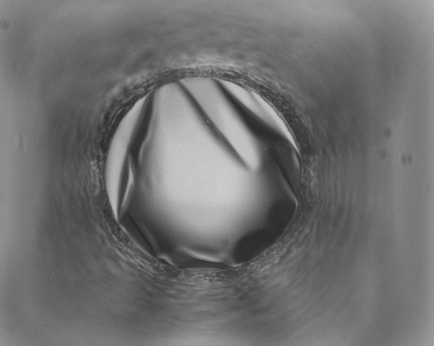 X0000088661493200706081649