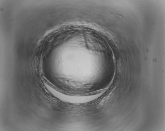 X0000088661494200706081649