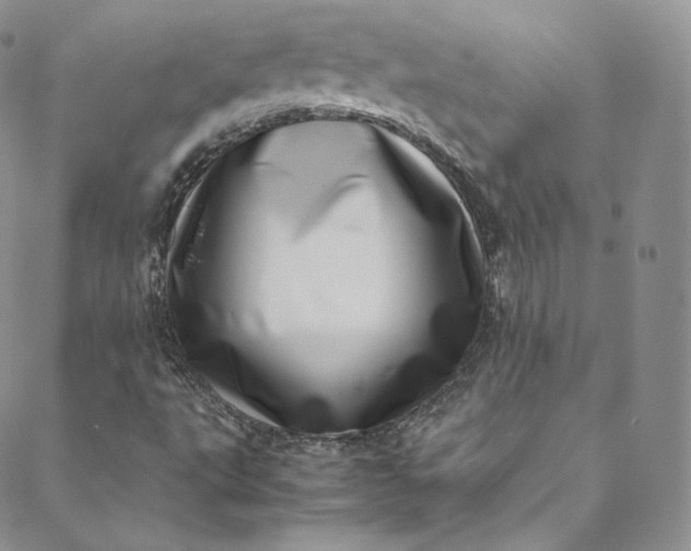 X0000088661495200706081649