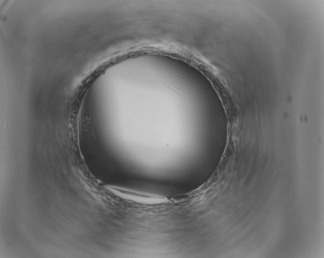 X0000088661496200706081649