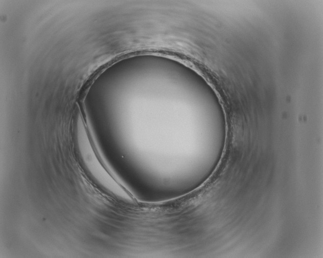 X0000088661497200706081649