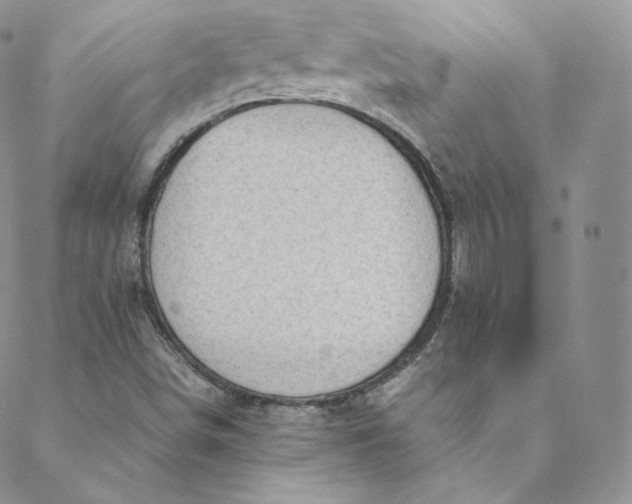 X0000088661498200706081649