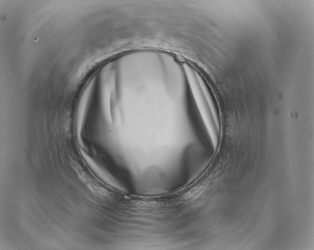 X0000088661499200706081649